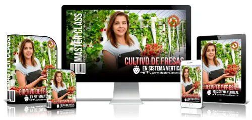 Portada del curso CULTIVO DE FRESAS EN SISTEMA VERTICAL