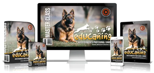 Portada del curso EDUCANINO. TODO SOBRE ADIESTRAMIENTO CANINO