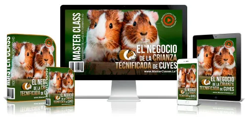 Portada del curso EL NEGOCIO DE LA CRIANZA TECNIFICADA DE CUYES
