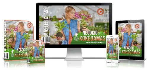 Portada del curso EL NEGOCIO DE LAS KOKEDAMAS