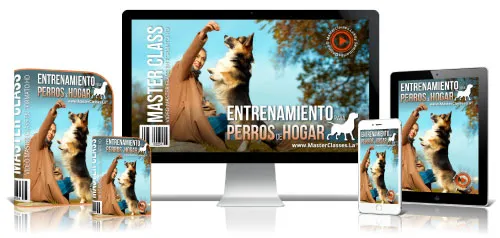Portada del curso ENTRENAMIENTO PARA PERROS DE HOGAR