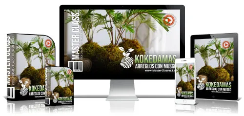 Portada del curso KOKEDAMAS ARREGLOS CON MUSGO