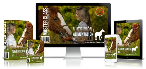 Portada del curso NUTRICIÓN Y ALIMENTACIÓN DEL CABALLO