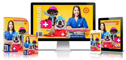 Portada del curso PRIMEROS AUXILIOS PARA PERROS