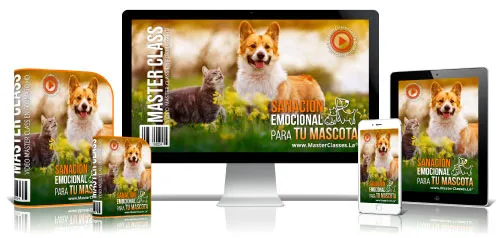 Portada del curso SANACIÓN EMOCIONAL PARA TU MASCOTA
