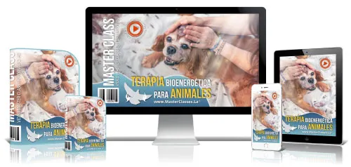 Portada del curso TERAPIA BIOENERGÉTICA PARA ANIMALES