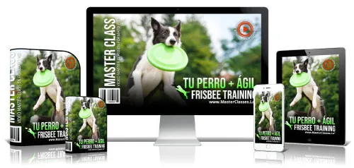 Portada del curso TU PERRO + ÁGIL – FRISBEE TRAINING