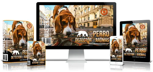 Portada del curso TU PERRO DETECTOR DE AROMAS